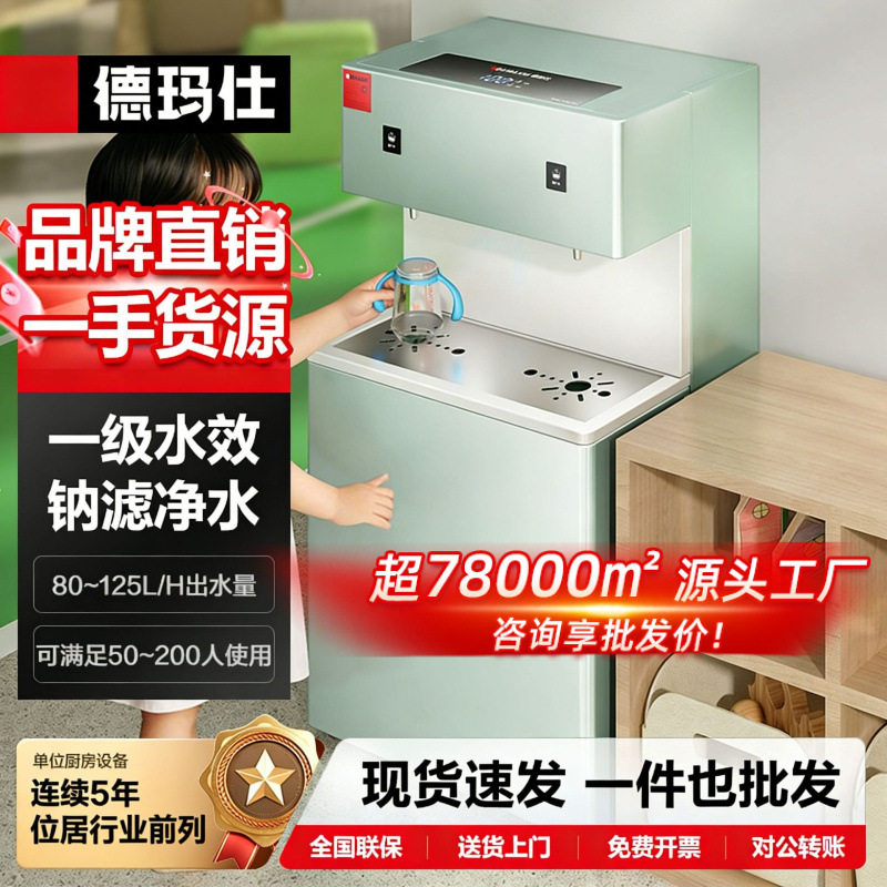 徳玛仕幼儿园学校开水机全自动电热开水器商用不锈钢净水直饮机