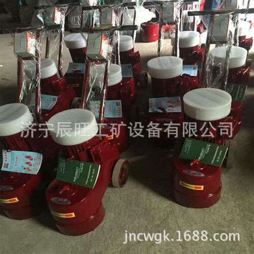 客厅水磨石机DMS250水磨石z地板打磨机 大理石地砖磨光抛光机