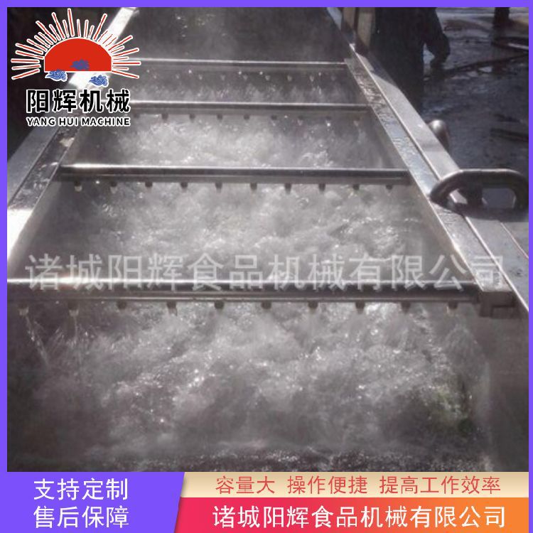 供应益母草清洗机设备 全自动果蔬气泡清洗机 花椰菜清洗机设备
