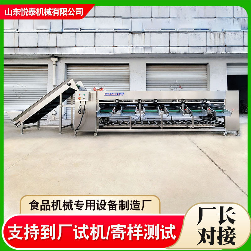 柑橘橙子全自动滚杠分选机