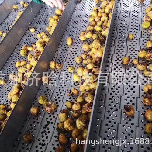 刺梨汁刺梨原汁生产线带式榨汁机