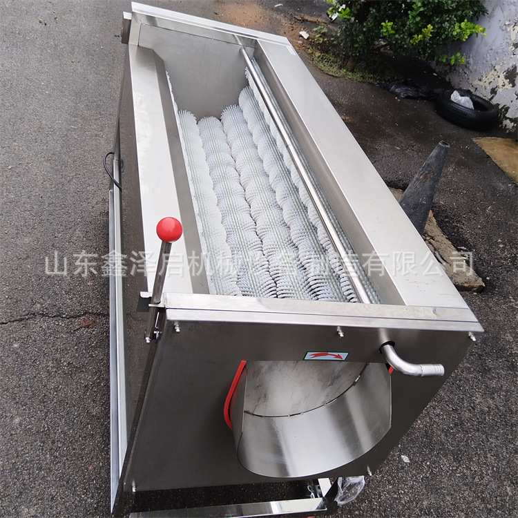 带毛刷的带鱼清洗机 全自动去白鳞鱼鳞清洗设备 海蛎子海鲜清洗机