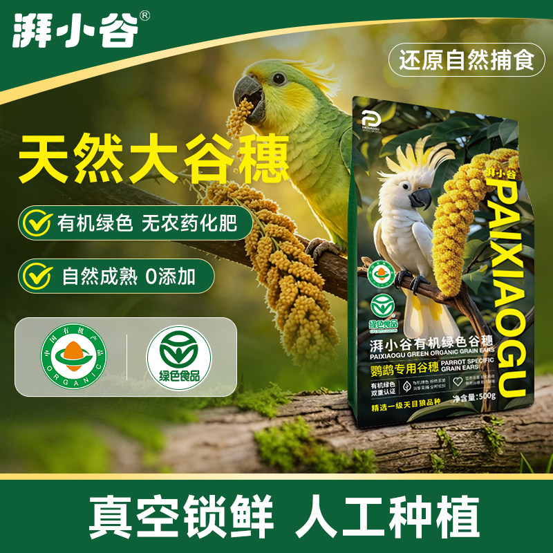 湃小谷鹦鹉天然有机大谷穗训练奖励零食鹦鹉鸟粮食黄谷子虎皮饲料