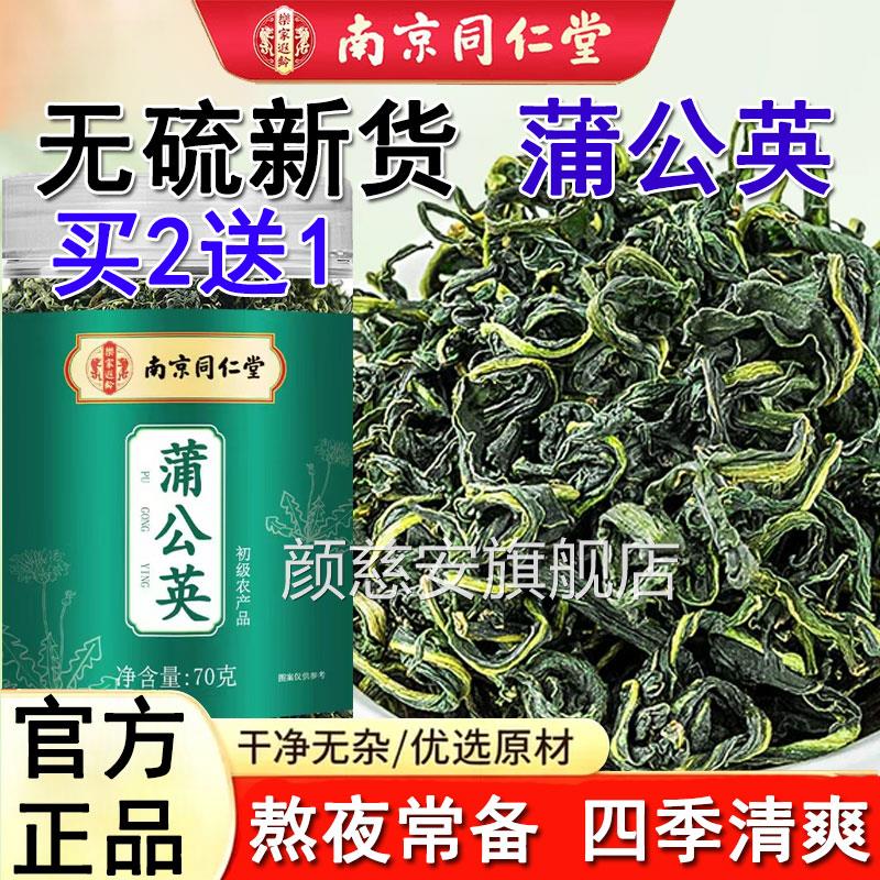 草南京同仁堂蒲公英茶叶搭中药材新鲜散茶干浦公英叶根官方正品颜