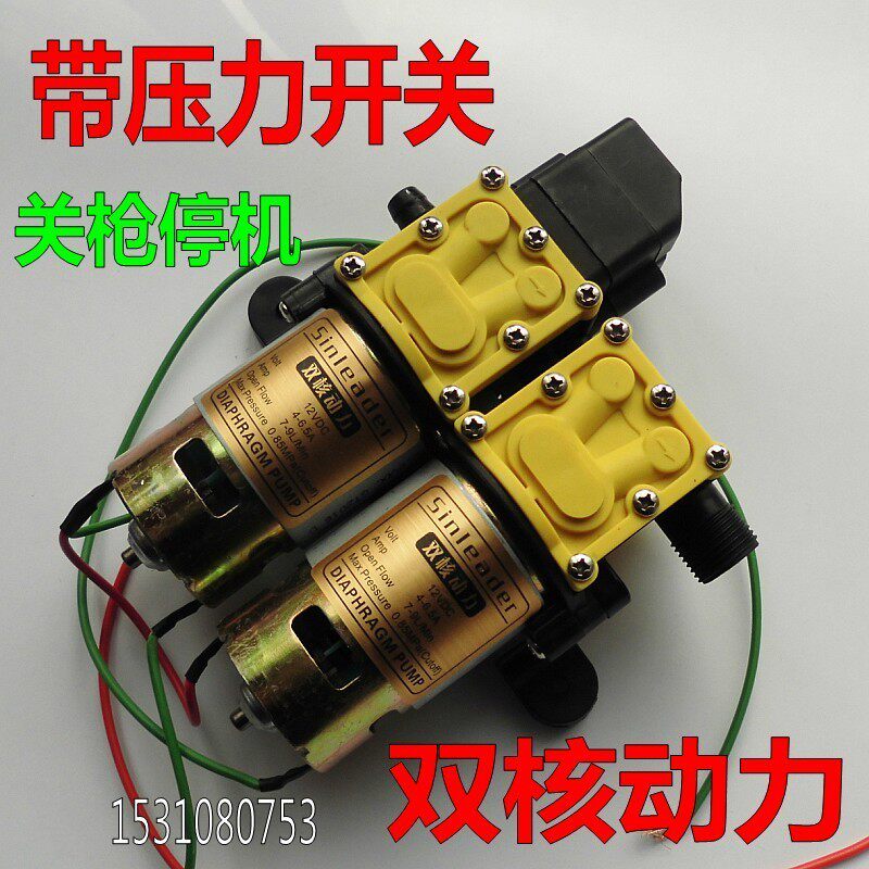 信利达12V电动车载洗车器便携式双核泵自助高压清洗机刷车打药