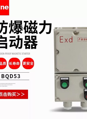 防爆磁力启动器BQD53-32A 40A防爆启动箱 电机水泵风机防爆控制箱