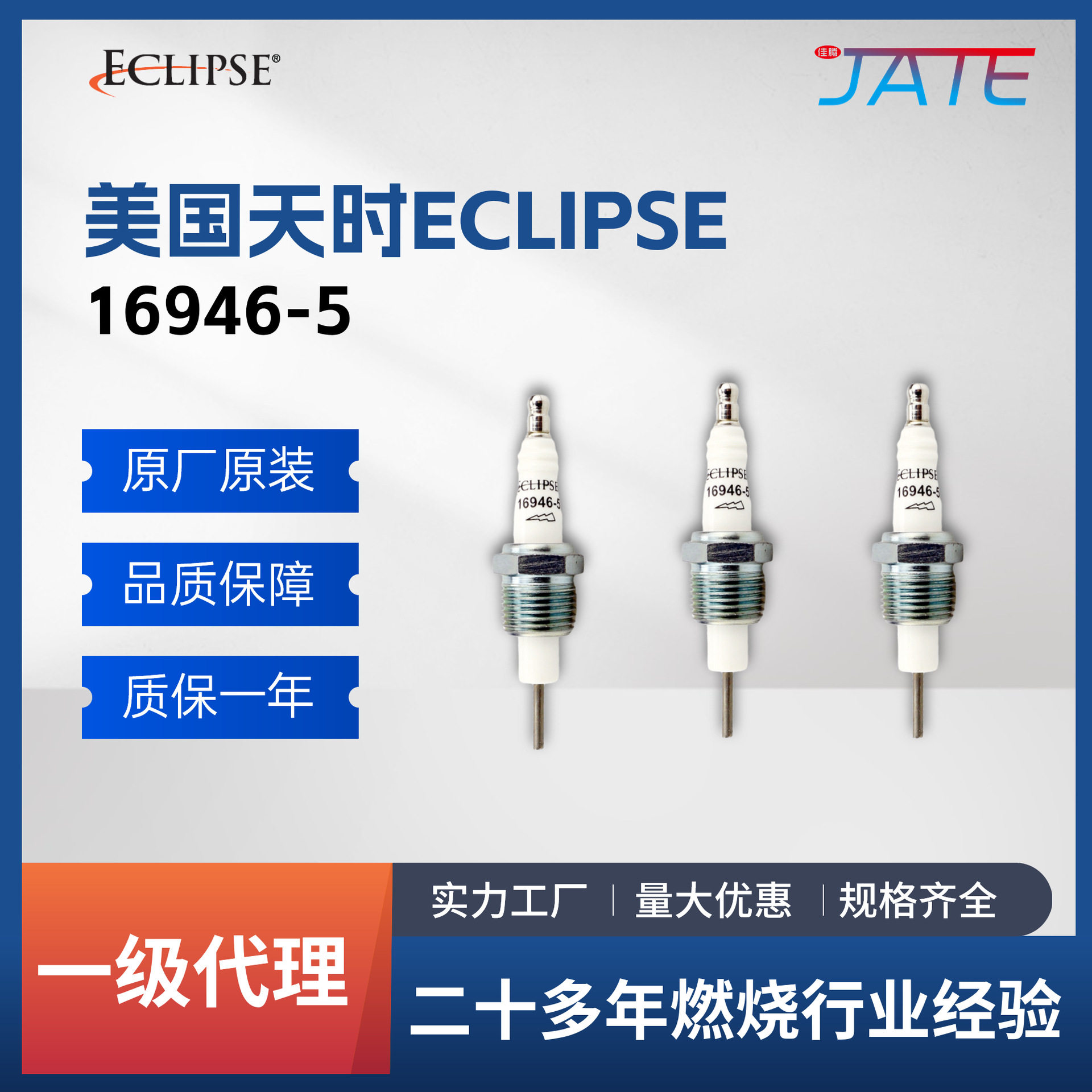 Eclipse天时打火针 16946-5 烧嘴燃烧机配件点火电极工业点火棒