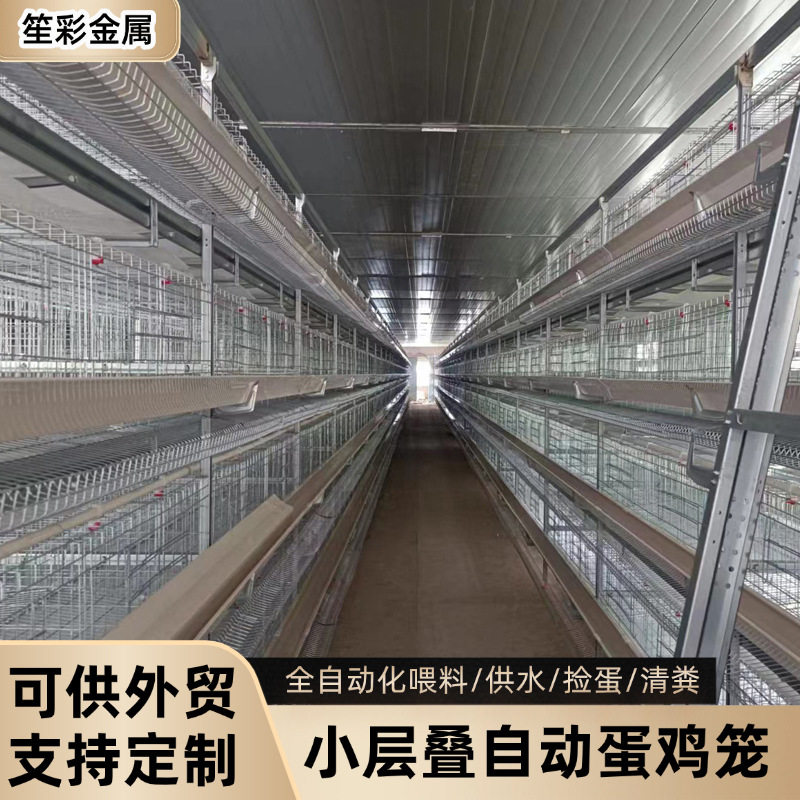 全自动化 小层叠蛋鸡笼养殖场用设备自动喂料捡蛋清粪蛋鸡笼子