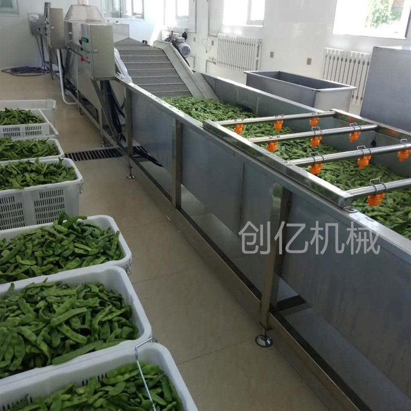 果蔬菌菇气泡去泥沙清洗机