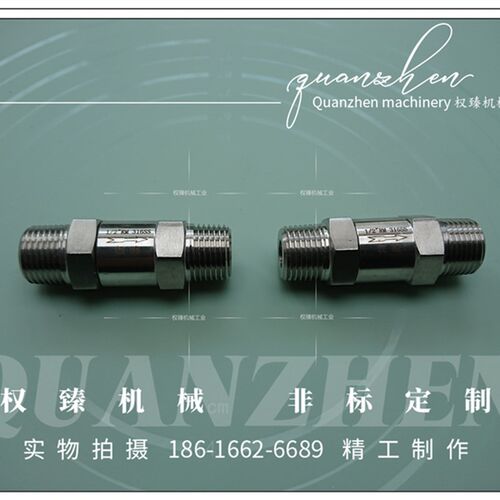 不锈钢316分体式外丝外螺纹直通单向阀止回阀逆止阀 4分 ZG PT1/2