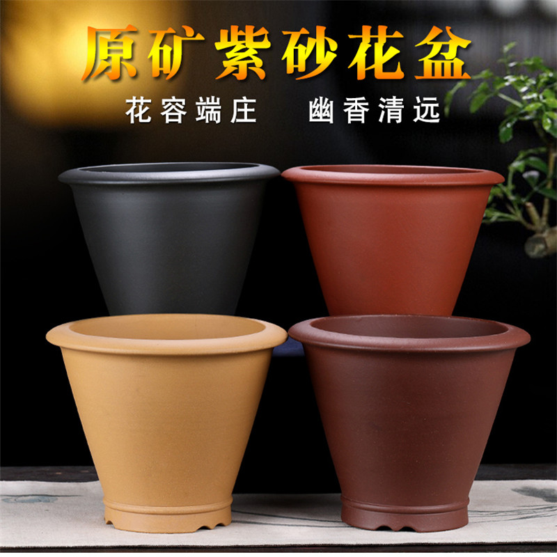 兰花盆精品专用紫砂花盆厂家直销大号文竹特价包邮君子兰兰草盆栽