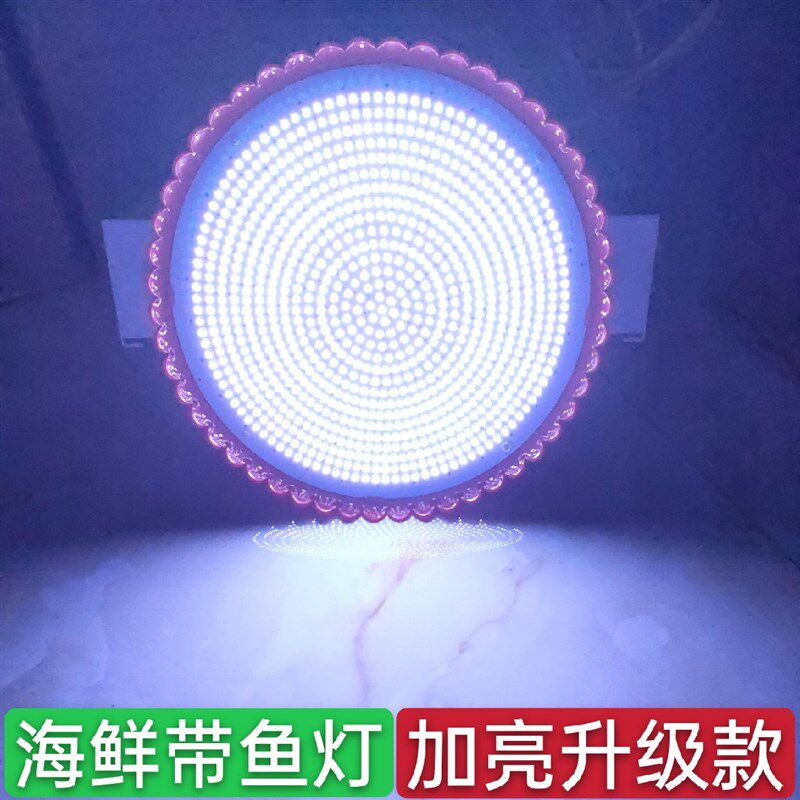 22款LED生鲜海鲜灯白光150瓦全白偏蓝带鱼黄鱼全暖市场加亮款E27