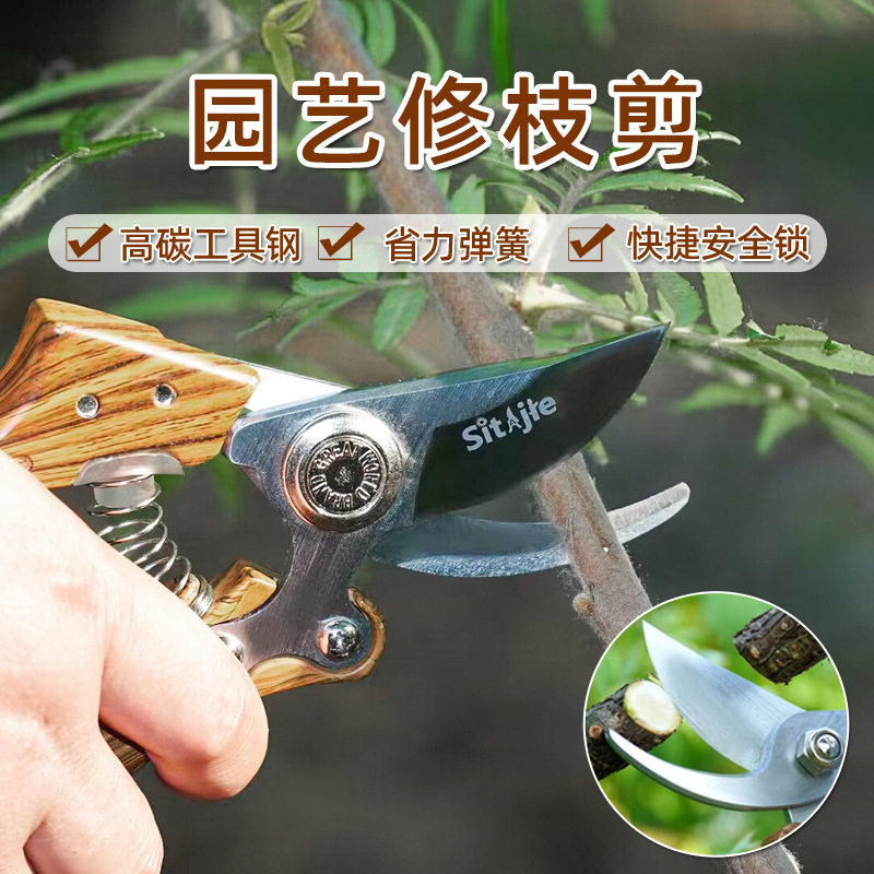 园艺修枝剪植物家用园艺树枝盆栽裁剪阳台果枝剪花园花艺园丁剪刀