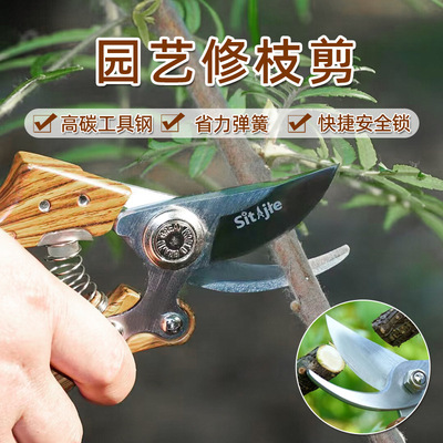 园艺修枝剪植物家用园艺树枝盆栽裁剪阳台果枝剪花园花艺园丁剪刀