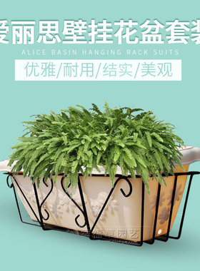 爱丽思花盆挂架长方形花盆壁挂花架阳台栏杆铁艺挂架子铁花架套装