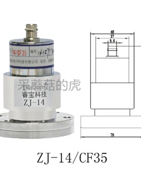 成都睿宝ZJ-14冷阴极电离规 真空规管 CF35规管 KF40真空规管
