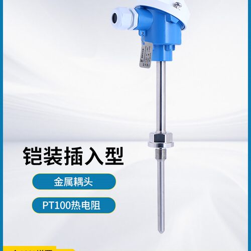 星仪CWDZ33K铠装插入型温度变送器高温PT100铂热电阻高精度传感器