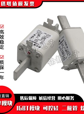 170M3808 170M3809 170M3810 17D0M3811 170M3812熔断器170M3813
