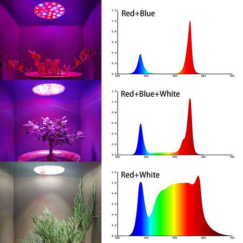 led植物20W灯泡阳台多肉盆栽补光仿太阳光谱助生长全阶段可用支持