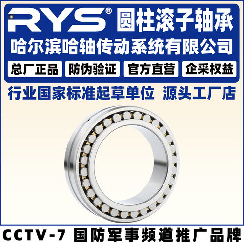 RYS哈轴传动NN3028303030323034K/W33P5P4圆柱滚子