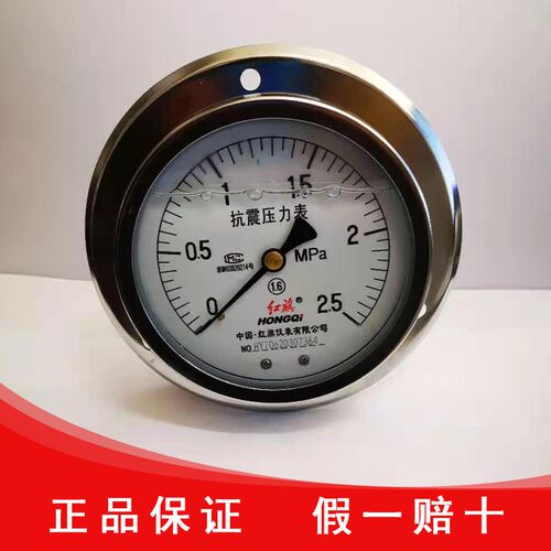 红旗仪表厂家直销轴向带前边抗震压力YTN-100ZT 表油液板式安装表