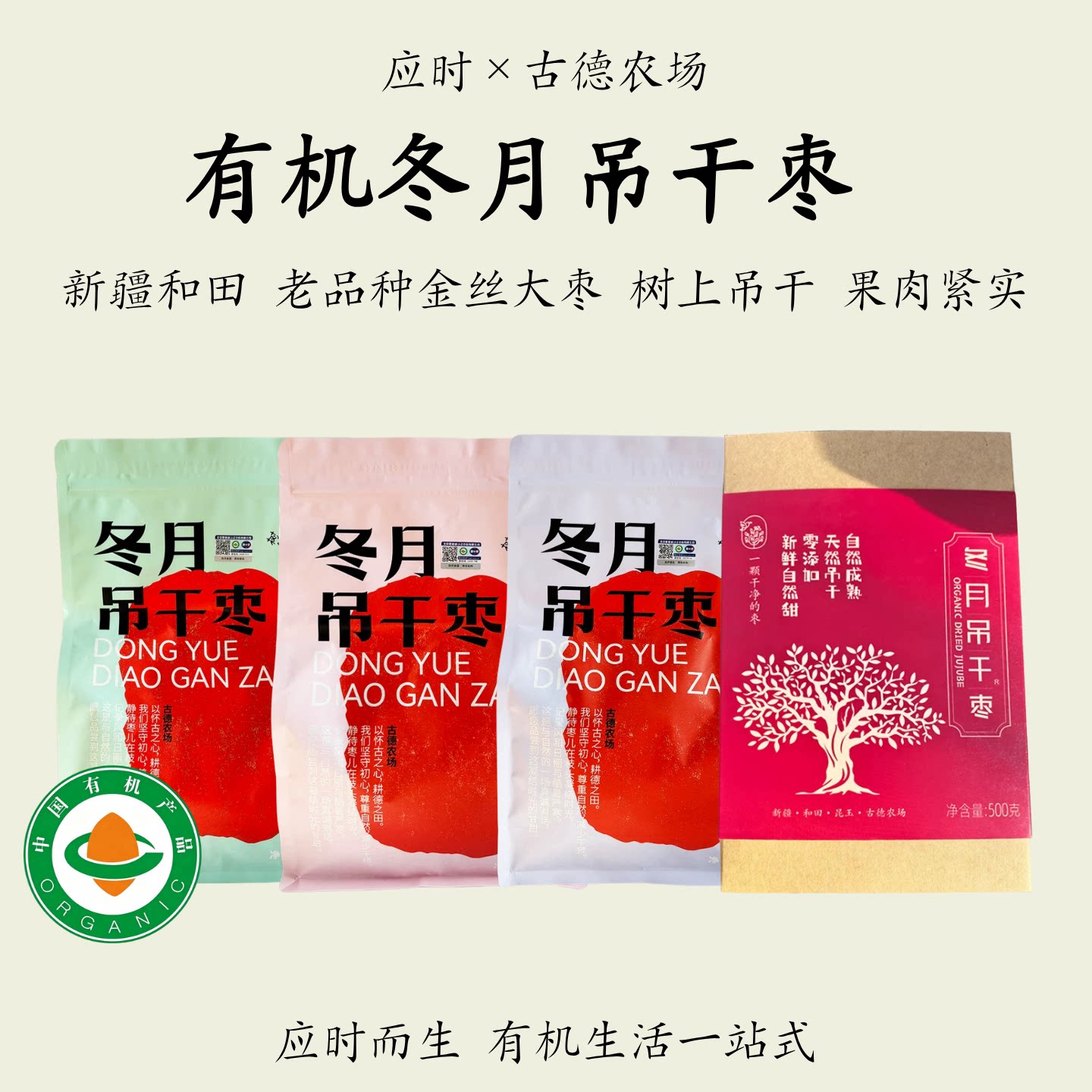 古德农场【有机冬月吊干枣】新疆和田老品种金丝大枣树上吊干红枣