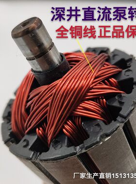 直流深井泵转子48V60V线圈碳刷油封轴承叶轮水封卡王密封圈电缆线