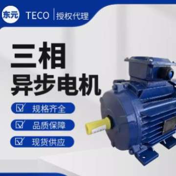 TECO东元三相异步感应电动机卧式马达AEEV3N 2.2KW 4P