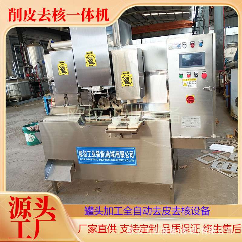 果蔬全自动去核加工生产 果蔬片冻干去核切片 水果去皮去核机