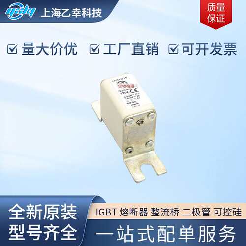 巴斯曼熔断器  170M2030 170M2031 170M2032 170M2033 170M2035
