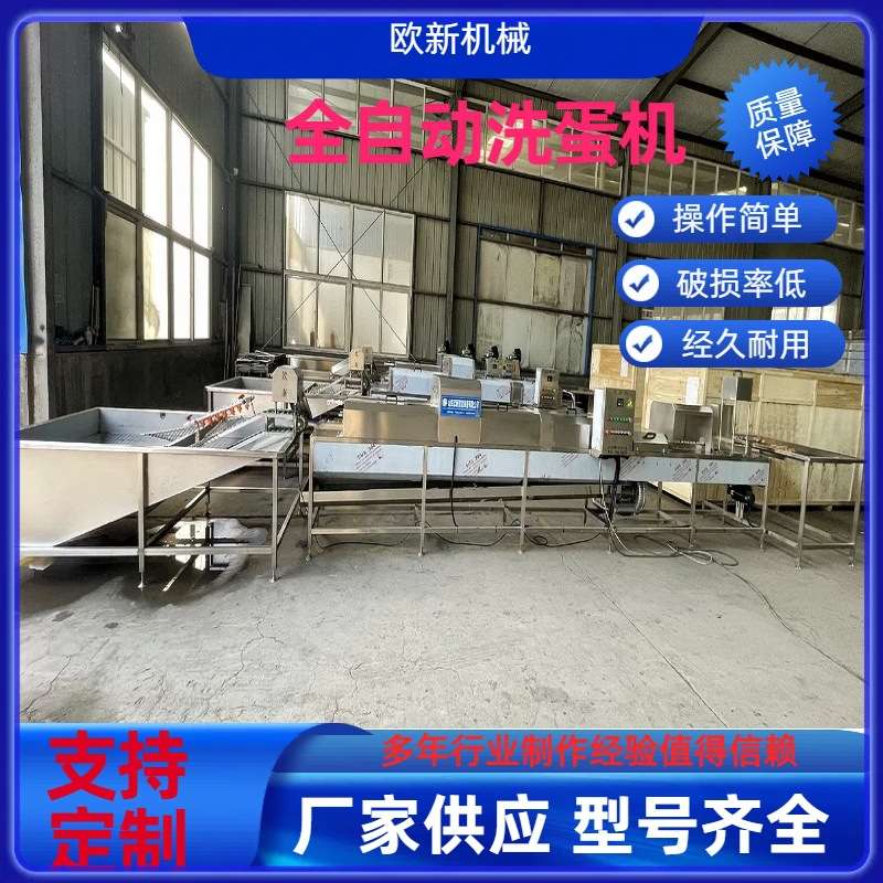 全自动鸡蛋洗蛋机保洁蛋清洗加工流水线商用泥蛋咸鸭蛋蛋品清洗机