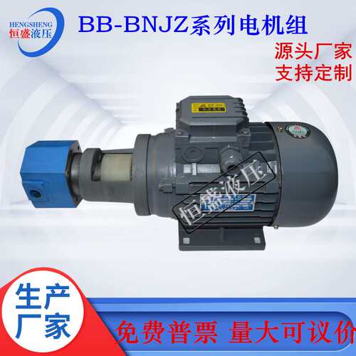 BB-B25NJZ-1 B16N B32N B40N B80 B100NJZ-1立卧式齿轮油泵电机组