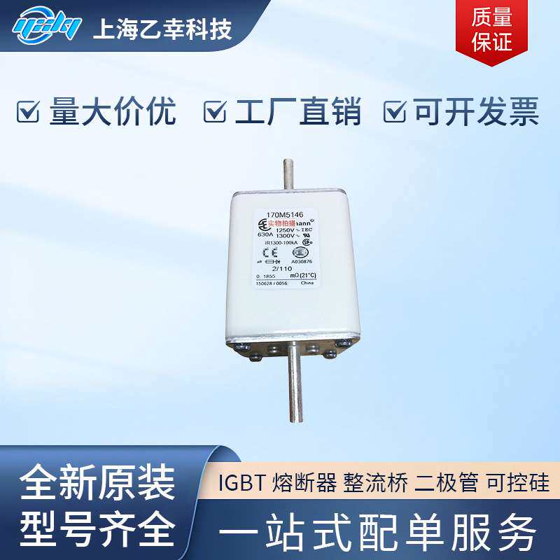 巴斯曼熔断器 170M5558 170M5559 170M5560 170M5561 170M5562