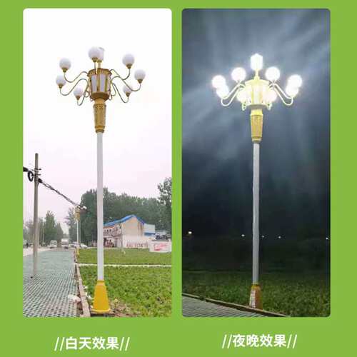中华灯led市政道路照明景观路灯10米12m城市广场市电玉兰灯厂家