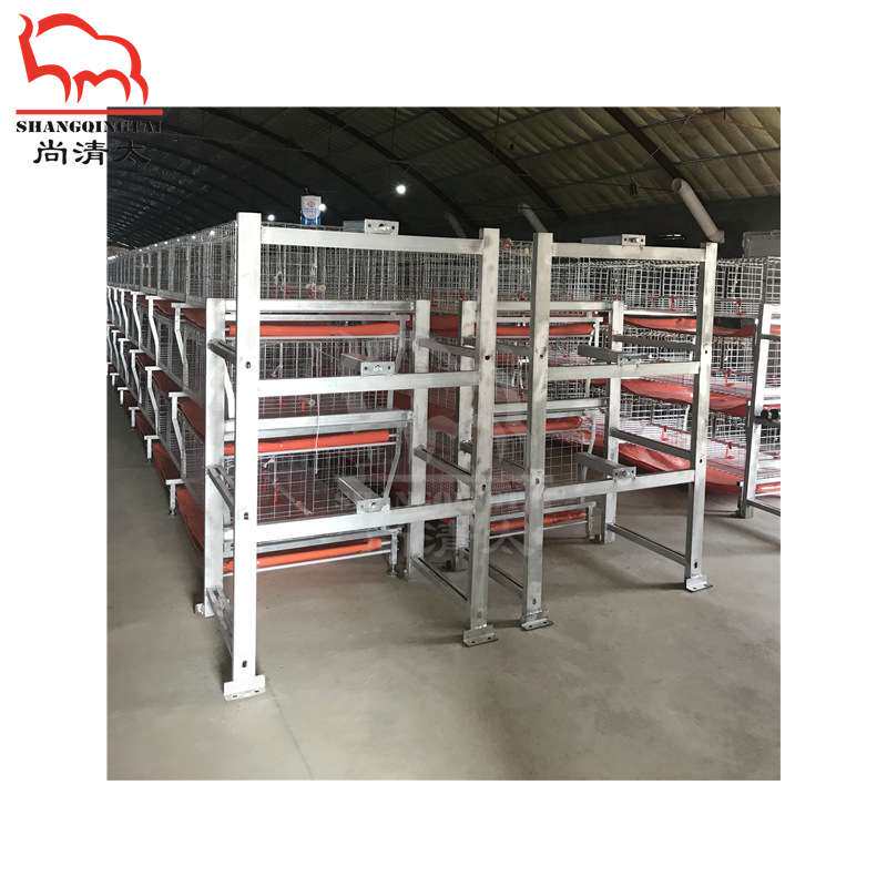 元宝肉鸡笼 肉鸡饲喂笼具 养鸡笼子 鸡用成长笼 畜牧养殖设备