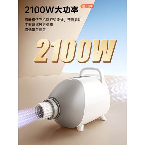 猫咪吹干专用洗澡宠物吹水机家用吹风静音烘干机狗狗毛神器大型犬