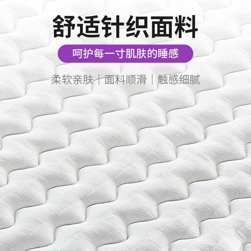 高档环保椰棕加厚席梦思床垫折叠款加厚乳胶卧室榻榻米垫床垫