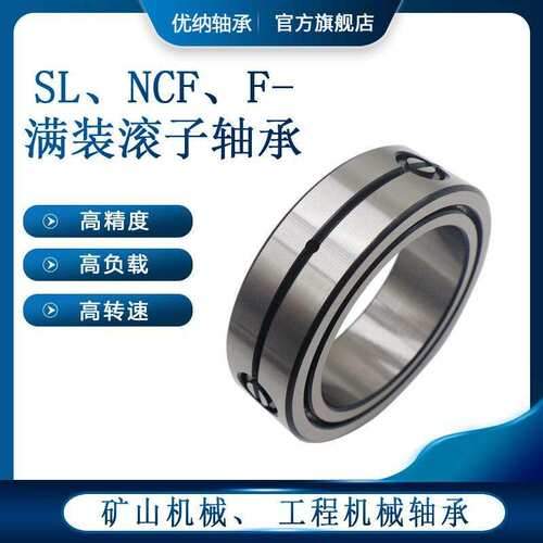 双列满装圆柱滚子轴承 SL02 4856 机械轴承 重载低速轴承