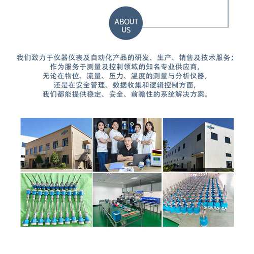 音叉料位小型振棒物位开关限位振动料位开关液位控制器UKL5731