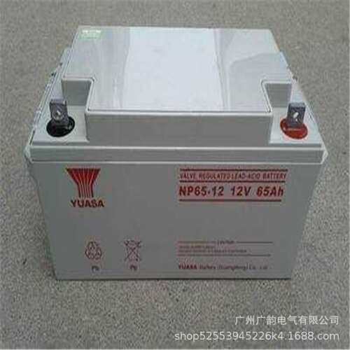 12V65AHups电源后备蓄电池 汤浅NP65-12铅酸免维护电池 金融应急