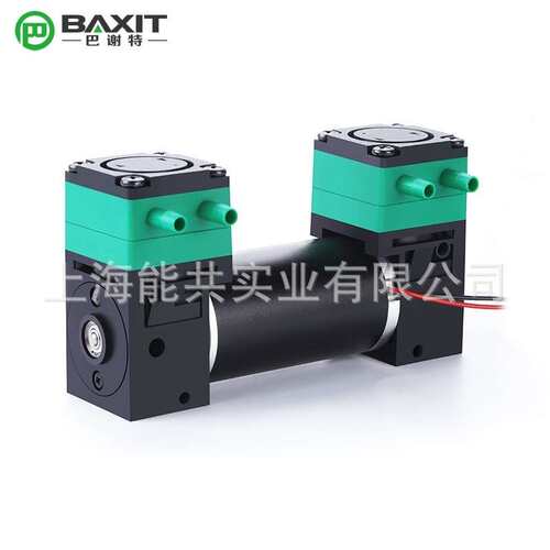 双头隔膜液泵抽水泵小型耐腐蚀微型真空采样泵无油自吸泵L08BL-2