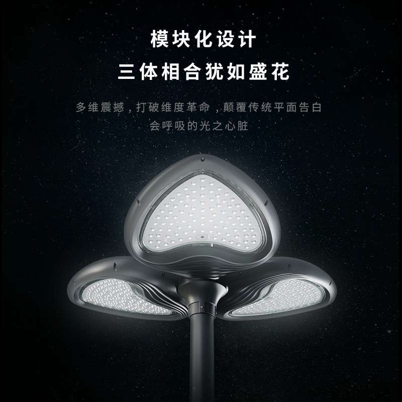 新款庭院灯市电心路灯太阳能庭院灯景观花园LED灯防水照明道路灯