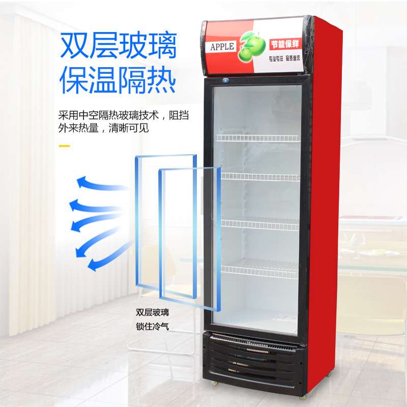 冷藏展示柜保鲜饮料柜商用超市冰箱小型啤酒柜立式双门冰柜