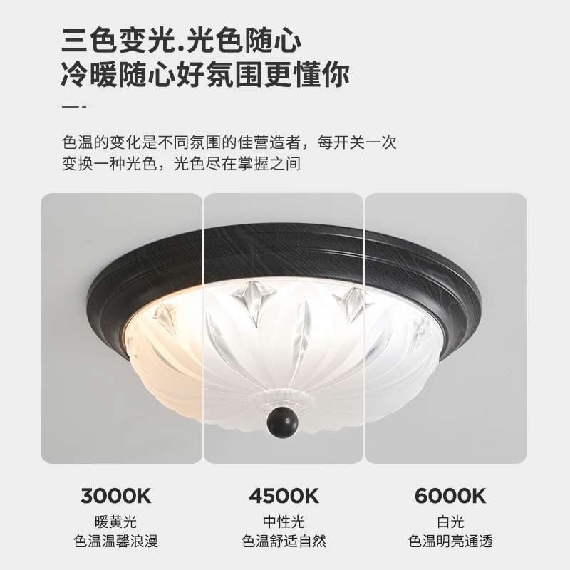 美式乡村吸顶灯阳台过道灯玄关走廊入户灯简约田园铁艺led吸顶灯