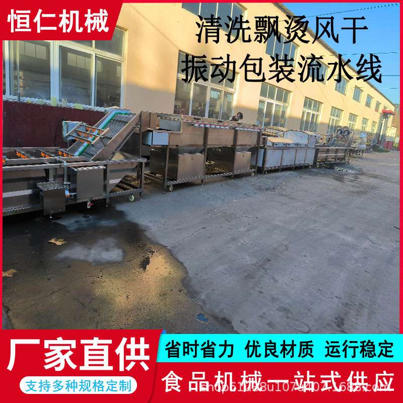 厨房果蔬气泡清洗机西红柿黄瓜全自动清洗机银耳木耳清洗流水线