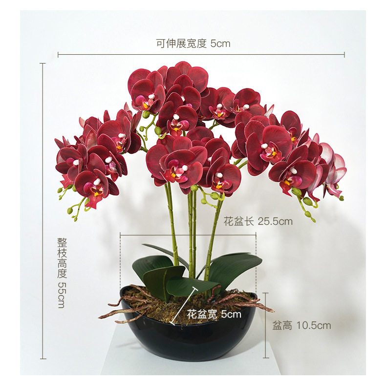 热卖款蝴蝶兰大盆假花摆件客厅装饰花盆景摆设高级感仿真花蝴蝶兰