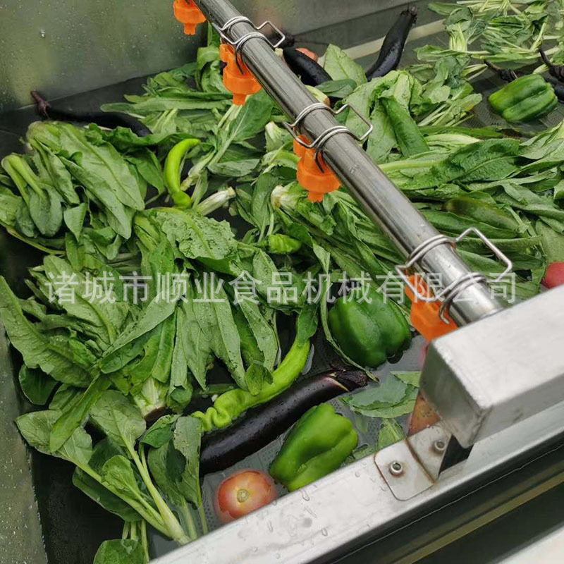 山东全自动网带果蔬气泡清洗机