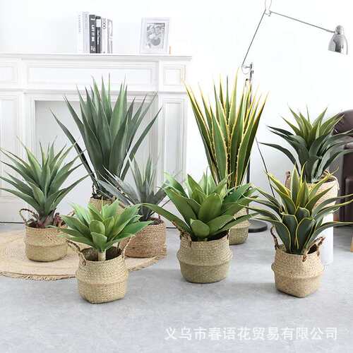 仿真绿植盆景剑麻大叶剑兰沙漠植物热带橱窗造景装饰假植物现货