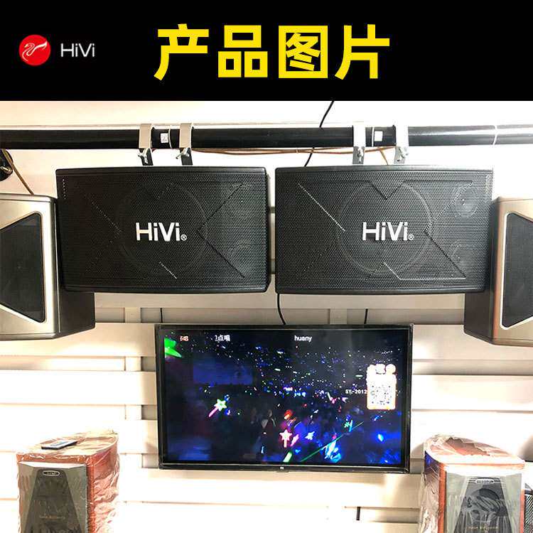 HiVi/惠威 KX-1000 专业音响 单10寸 ktv音箱 家庭娱乐卡拉OK音箱