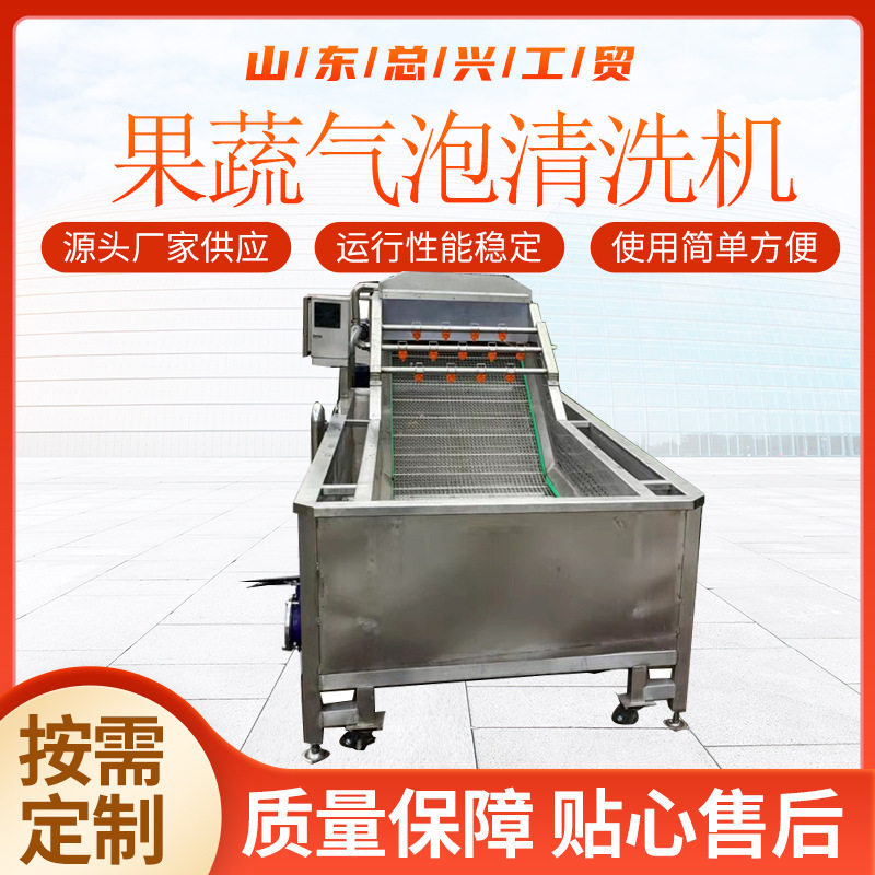 总兴裙带菜不锈钢清洗机果蔬气泡清洗设备海带扣高压喷淋清洗机